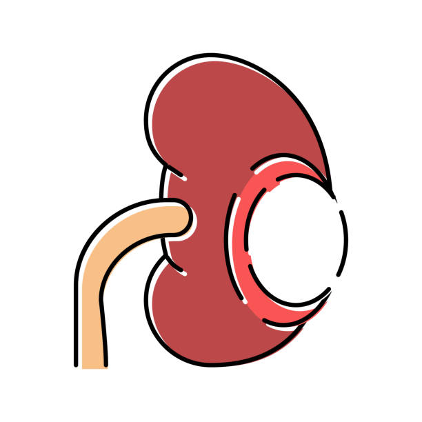 cisto renal